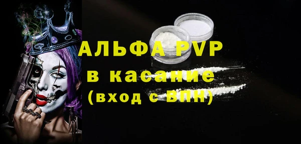 стафф Алексин