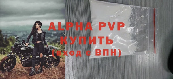 стафф Алексин