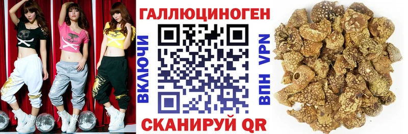 это телеграм  Ардон  Псилоцибиновые грибы Psilocybe 